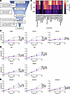 Drug screening and proliferation assay identified lomerizine as an effectiv