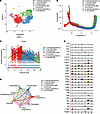 Identification of Postn+ P-MPs utilizing scRNA transcriptome profiling.