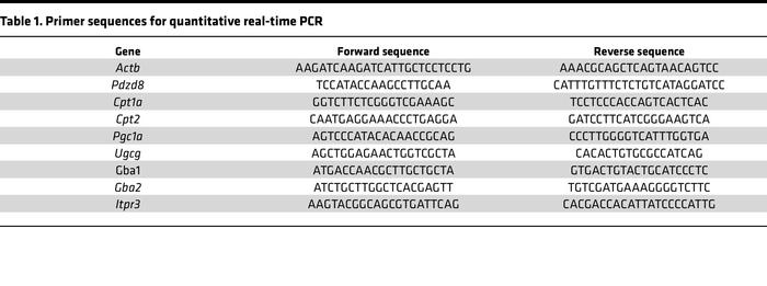 Primer sequences for quantitative real-time PCR