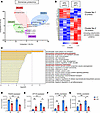 Glomerular proteomics data of an obesity-related kidney disease model using