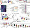 Metabolic alterations and emergence of an epithelial transitional state in