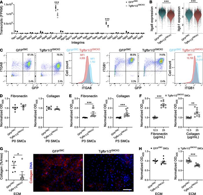 Impaired adhesion of aortic SMCs with disrupted TGF-β signaling to colla...