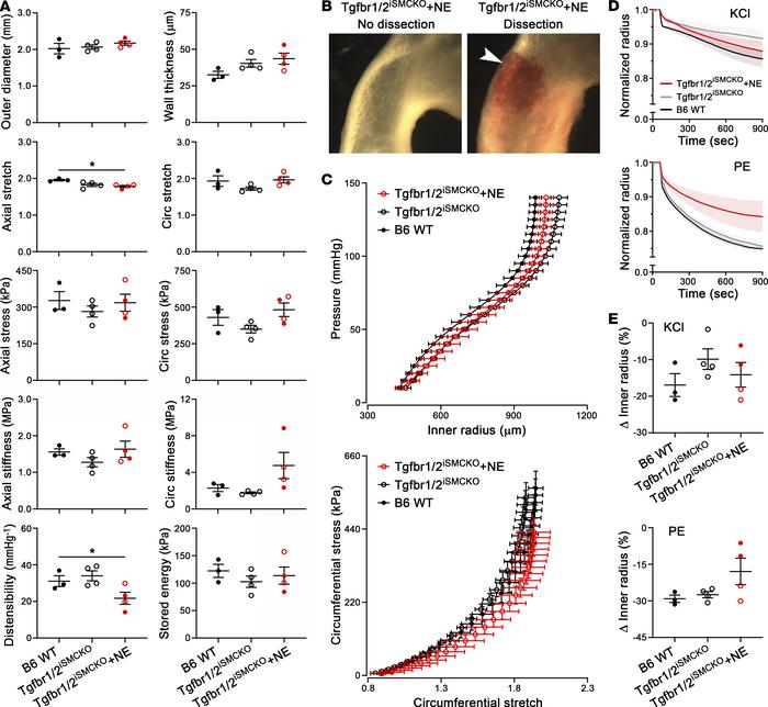 Limited impairment of bulk biomechanical properties 1 week after disrupt...