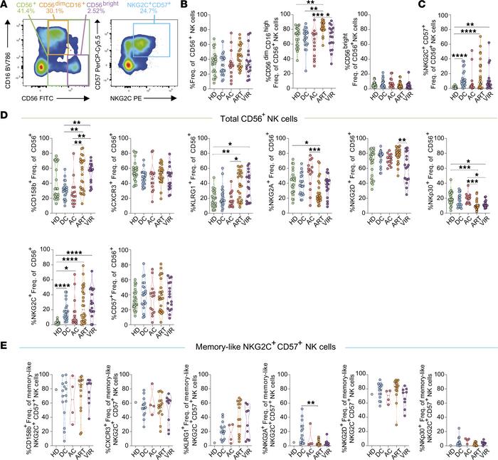 Phenotypic characterization of NK cells in ECs.
The expression of differ...