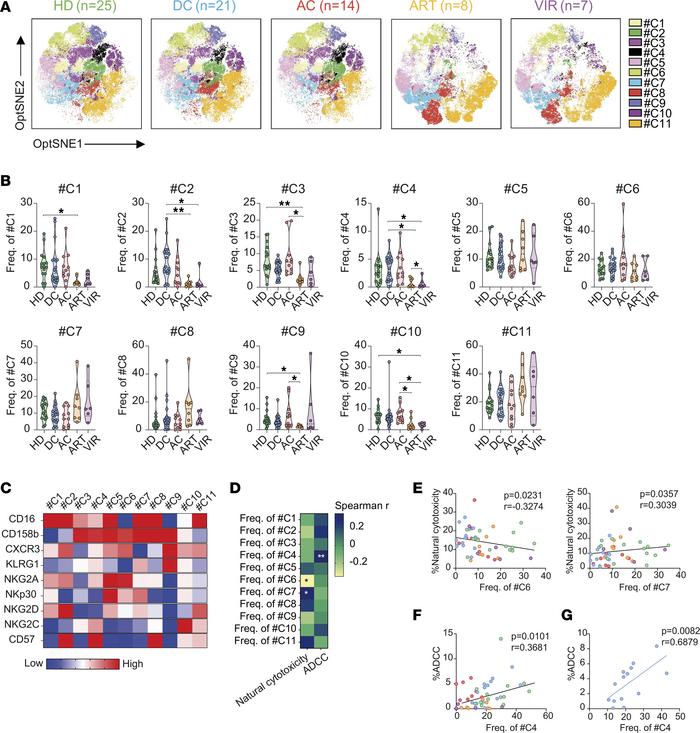 Association between NK cell phenotype and functional responses in EC.
(A...