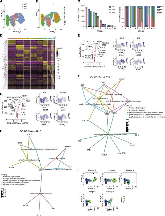 Unique transcriptional signatures define ADCC-mediating NK cells from DC...