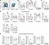 Phenotypic characterization of NK cells in ECs.