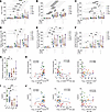 Functional profile of NK cells in ECs.