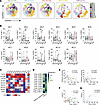 Association between NK cell phenotype and functional responses in EC.