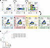 NK cells from DC enriched in specific receptors exhibit an increased abilit