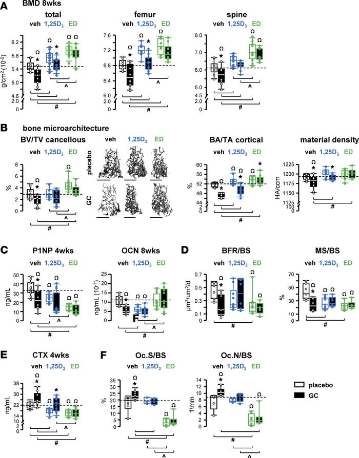 Increased VDR signaling protects the skeleton from bone loss and microar...