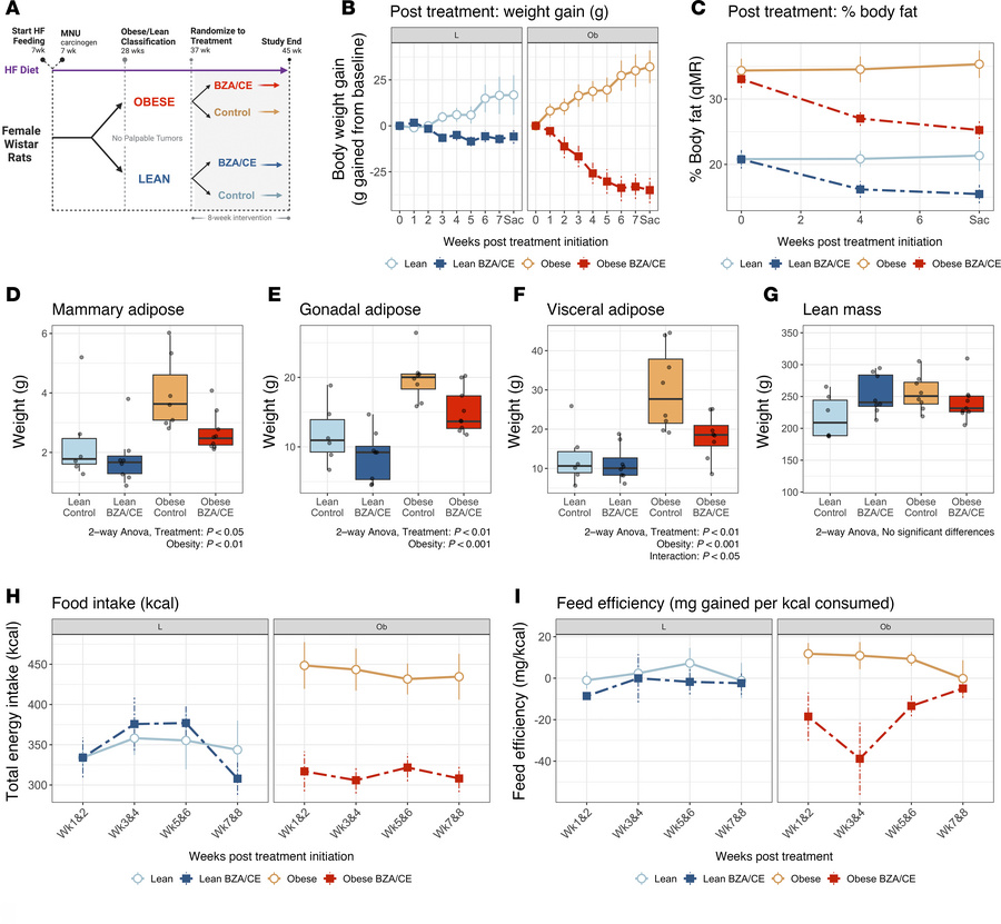 BZA/CE decreases body weight, adiposity, and food intake in lean and obe...