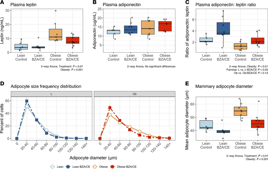 BZA/CE increases adiponectin/leptin ratio and reduces the size of mammar...