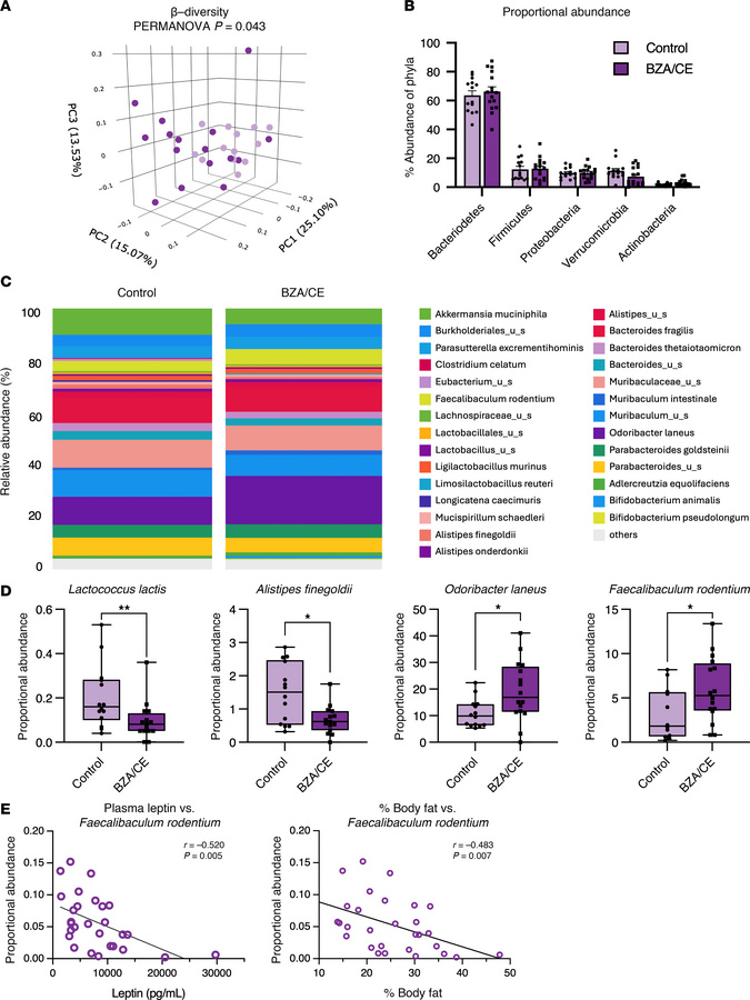 Impact of BZA/CE on the gut microbiome.
(A) Principal coordinate analysi...
