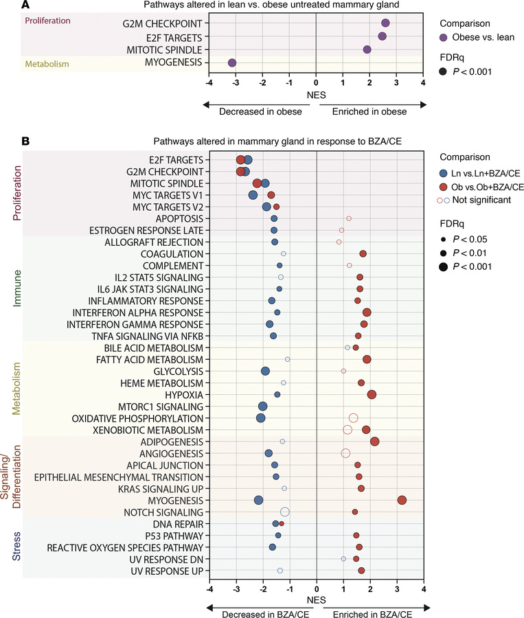 Impact of BZA/CE on mammary gland gene expression.
Mammary glands from l...