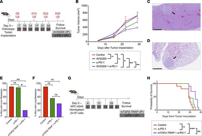 The combination of TGF-β-TRAP and a-PD-1 slows the rate of tumor growth ...