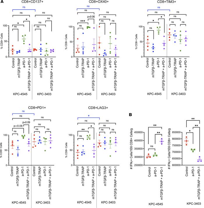 The combination of mTGF-β-TRAP and a-PD-1 has limited effect on T cell a...