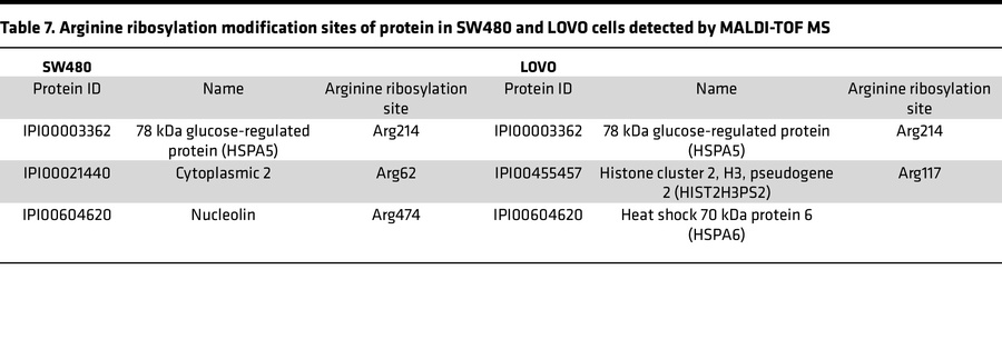 Arginine ribosylation modification sites of protein in SW480 and LOVO ce...