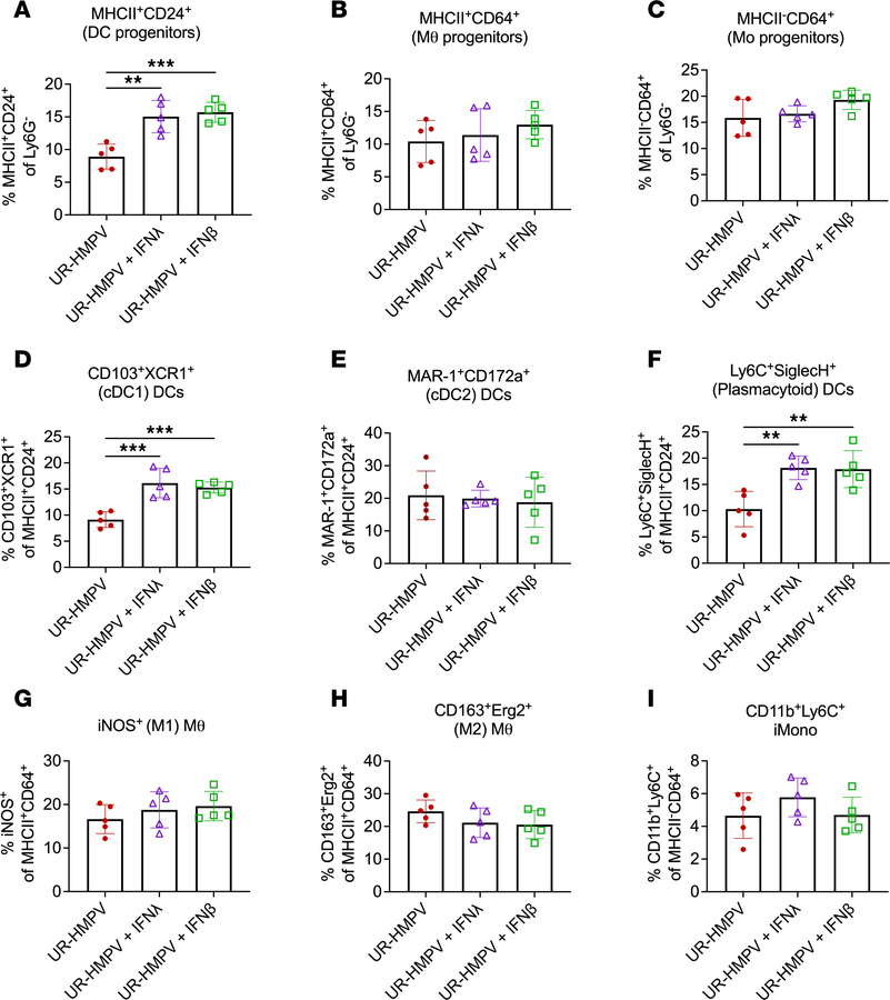 IFN adjuvant of nasal HMPV immunization increases nasal recruitment of c...