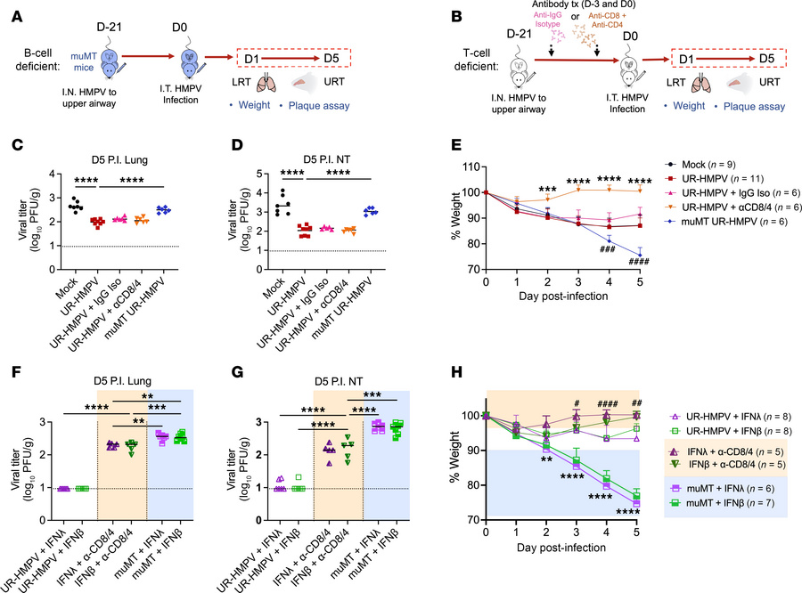 T cell–mediated and humoral immunity are both required for improved nasa...