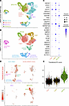 scRNA-Seq analysis of neonatal human lungs with BPD+PH reveals an abCap sta