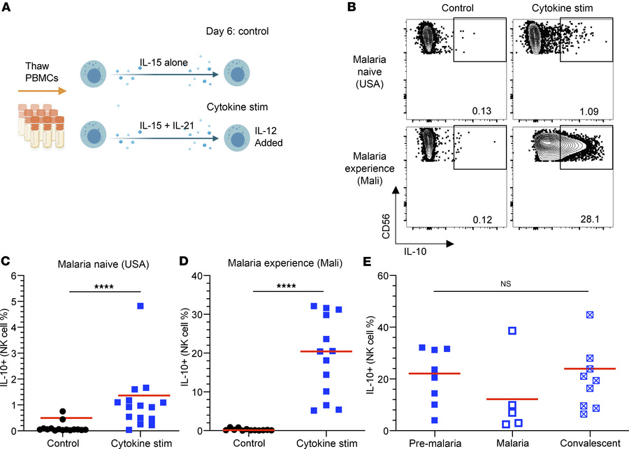 NK cells from malaria-experienced individuals (Mali) secrete more IL-10 ...