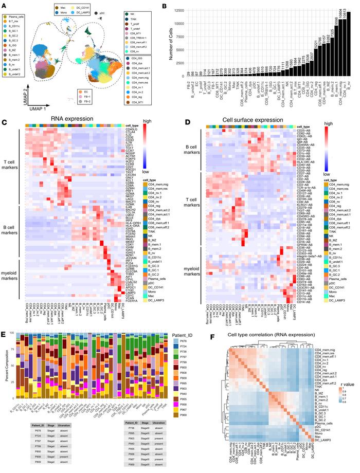 Deciphering the diversity of immune cells in melanoma SLN tissues using ...