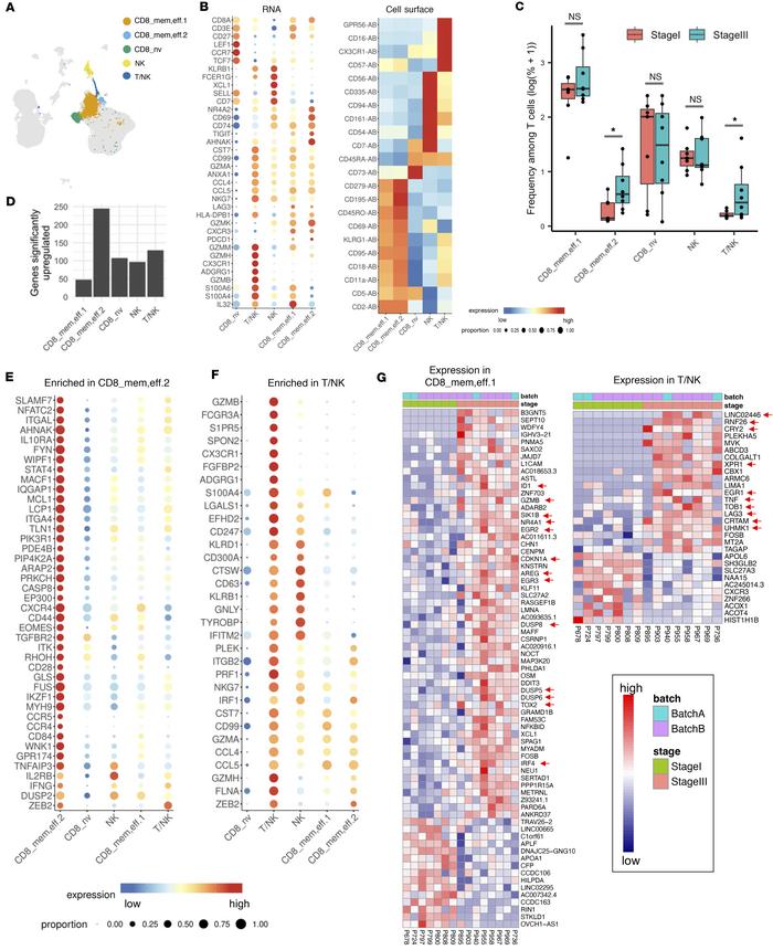 Melanoma disease stage associates with transcriptional state of CD8+ eff...