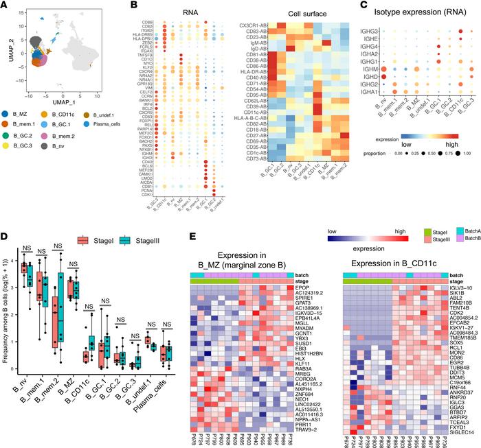 JCI Insight - Single-cell transcriptomics of melanoma sentinel lymph ...