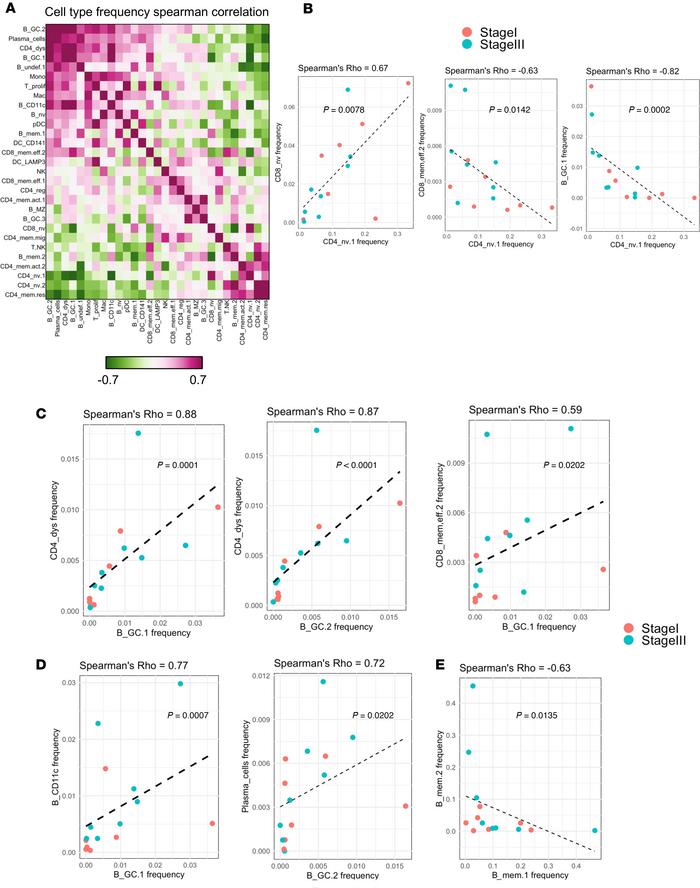 Melanoma SLN heterogeneity appears along an axis of naive to activated s...