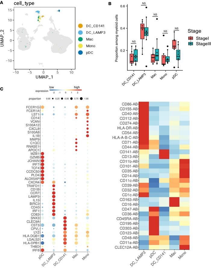 Differential transcript and protein marker expression of myeloid cell po...