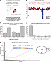 Bacteriophage DNA in umbilical cord blood in Witt dataset.