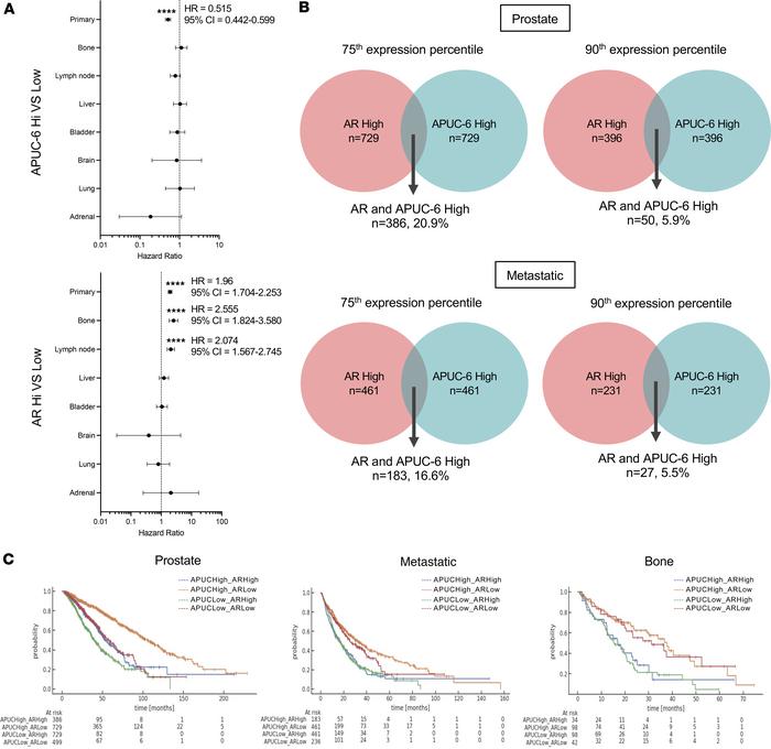 APUC-6-high and AR-high tumors have distinct clinical outcomes.
(A) OS i...