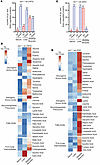 IRP1 deficiency triggers metabolic reprogramming in mice fed high-fat or ir