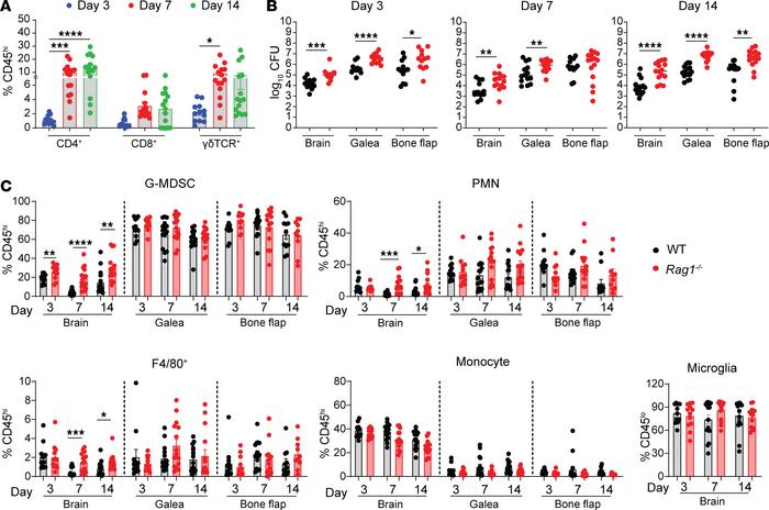 Importance of adaptive immunity during craniotomy infection.
(A) WT mice...