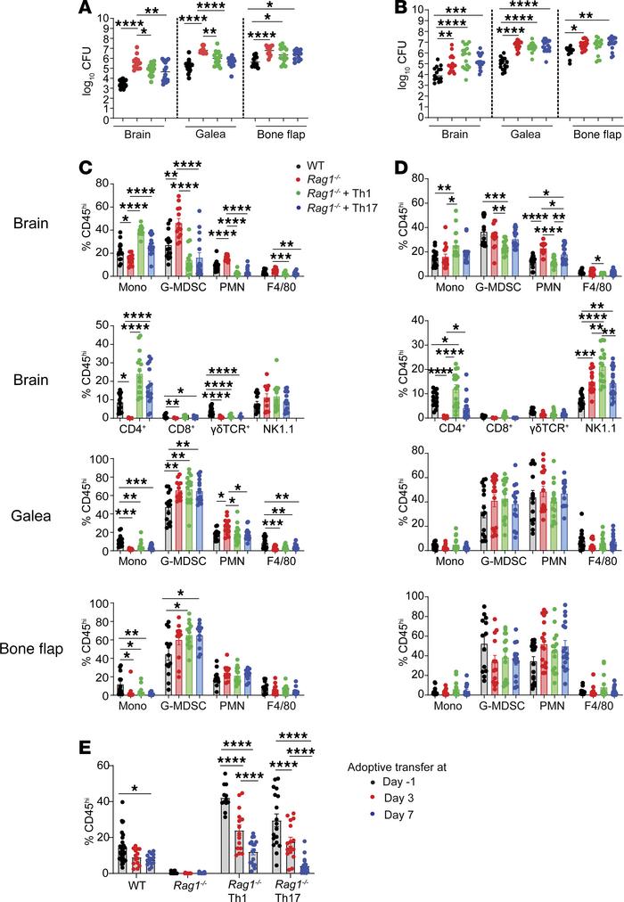 Th1 and Th17 cells are important during acute craniotomy infection to pr...