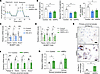 Recombinant SIRPα or hyperglycemia stimulates lipid accumulation in renal p