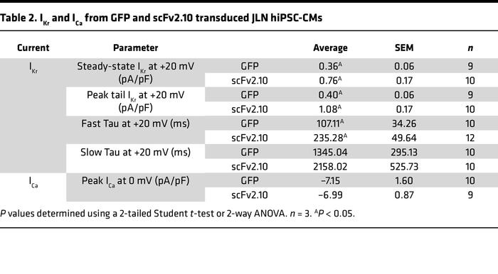 IKr and ICa from GFP and scFv2.10 transduced JLN hiPSC-CMs