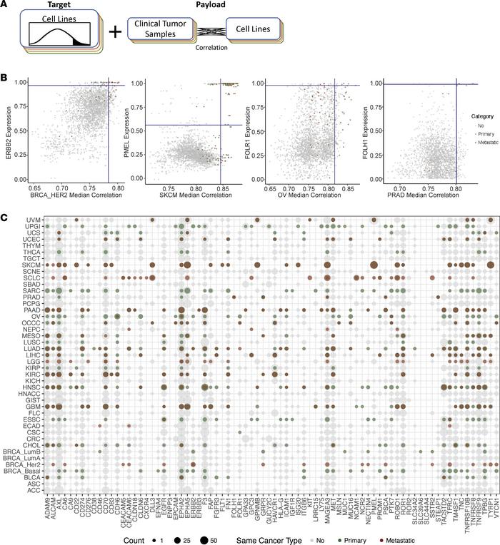 JCI Insight - Clinical cell-surface targets in metastatic and primary ...