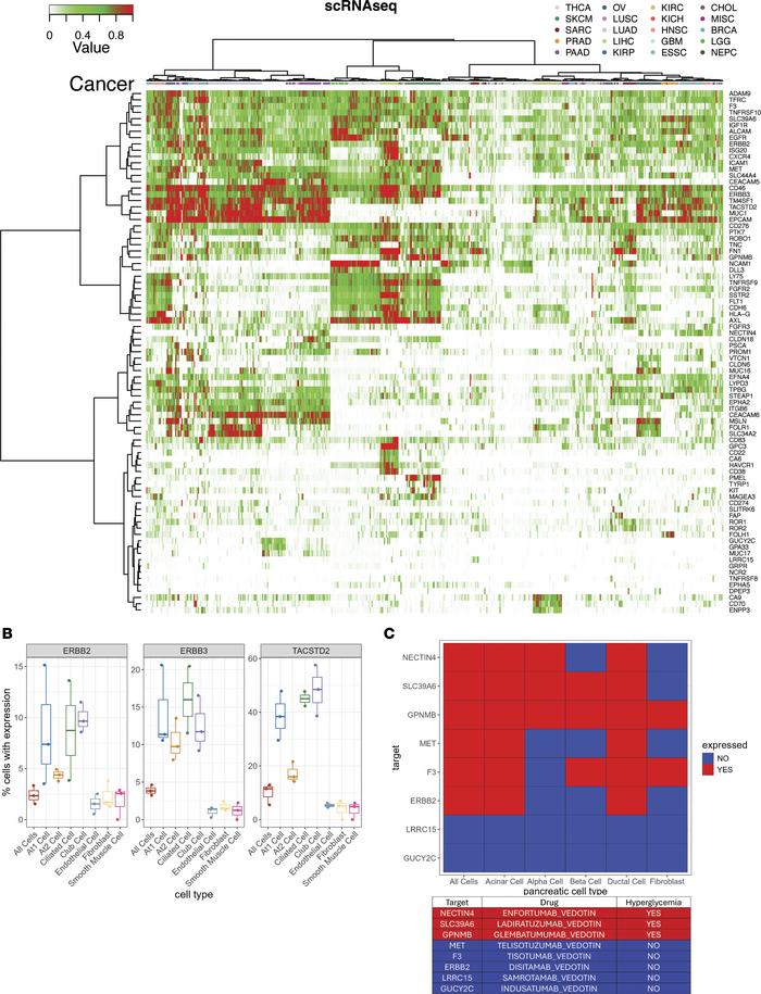 Single-cell heterogeneity.
(A) Heatmap of the proportion of the tumor ce...