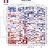 Primary versus metastatic tumor expression.