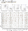 Selecting a cell line model system.