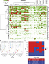 Single-cell heterogeneity.