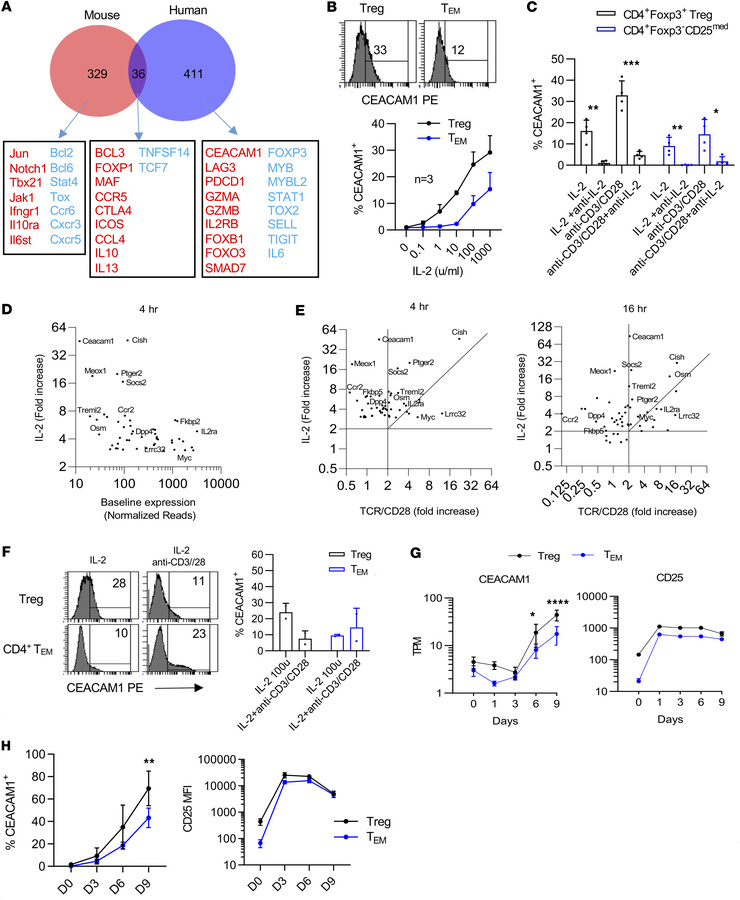 CEACAM1 expression is IL-2 dependent and more robust in human Tregs than...