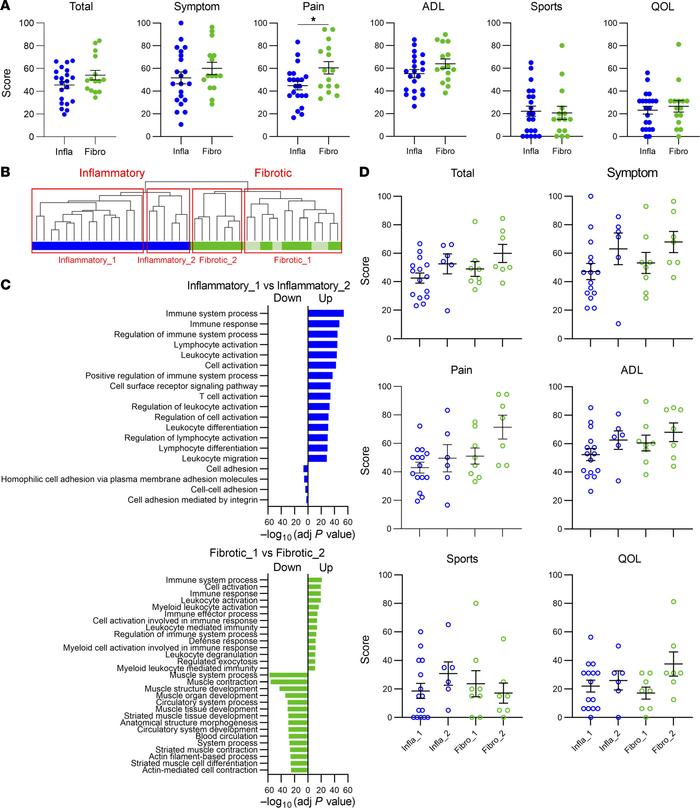Comparison of clinical scores between patients with knee OA with differe...