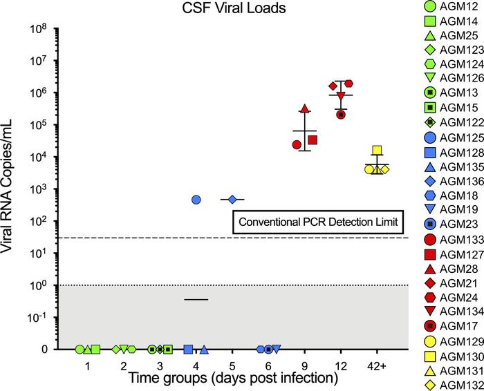 Cerebrospinal fluid (CSF) SIVsab viral loads in African green monkeys (A...