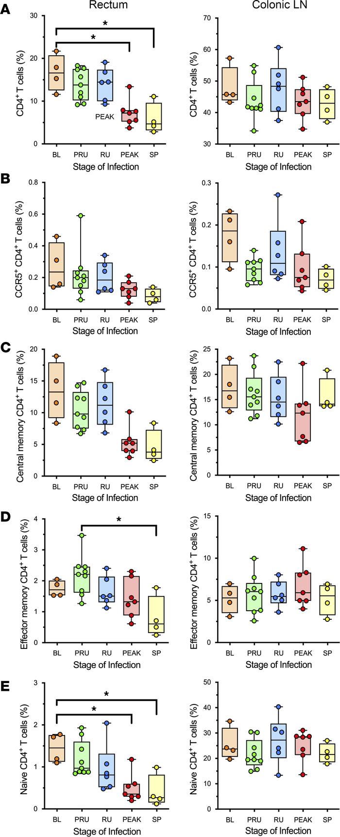 CD4+ T cell populations and subsets at the site of inoculation in SIVsab...