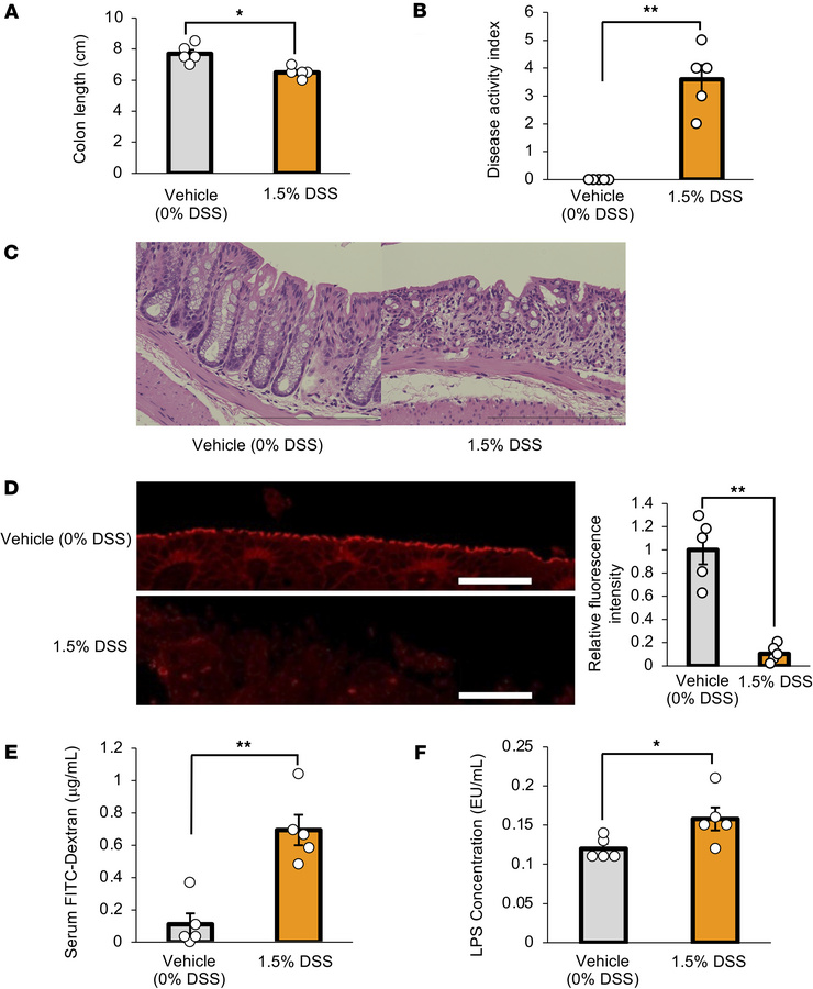 Colonic inflammation and colonic intestinal barrier disruption are induc...