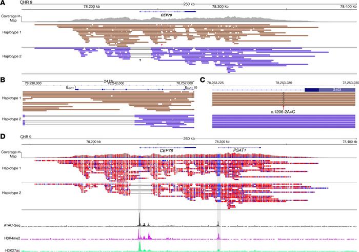 Sequencing of native DNA allows decoding of methylation data that correl...