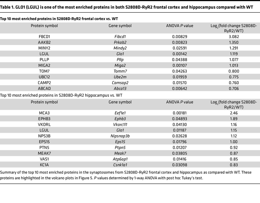 GLO1 (LGUL) is one of the most enriched proteins in both S2808D-RyR2 fro...